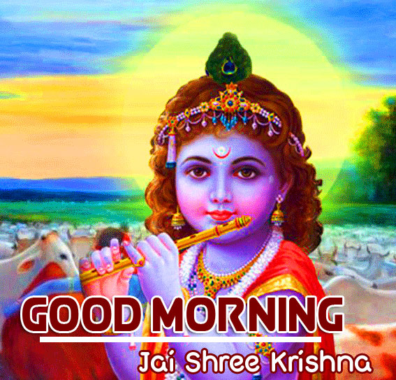 39+ Beautiful Jai Shree Krishna Good Morning and Suprabhat Wallpapers ...
