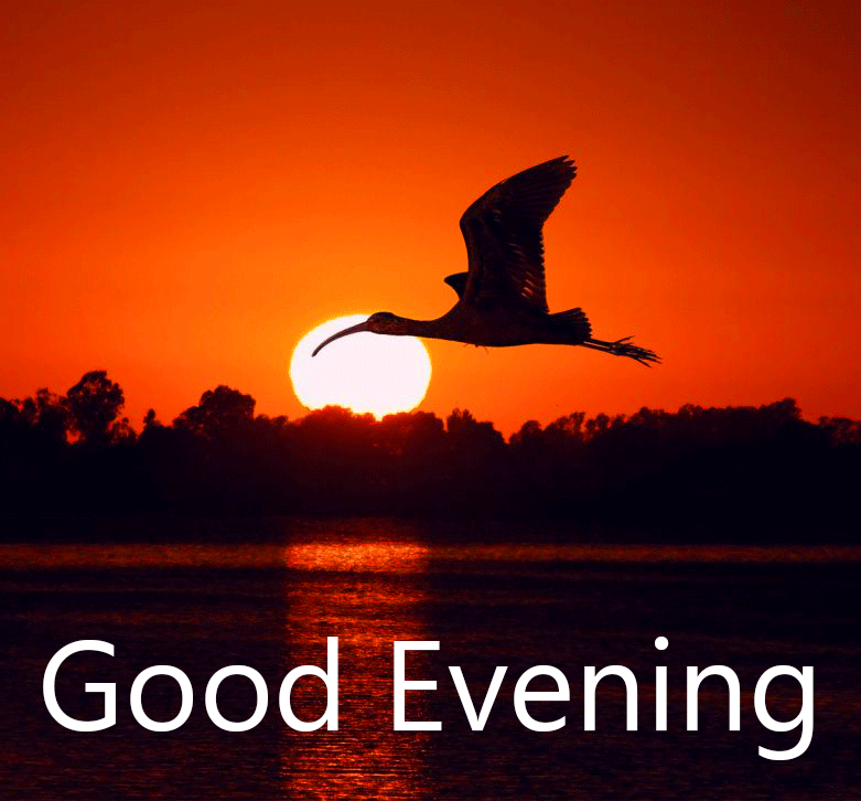 46+ Good Evening Wishes with Pictures for Facebook - Good Morning Images HD