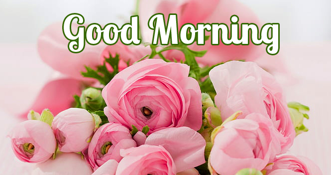 Beautiful-Flowers-Good-Morning-Image
