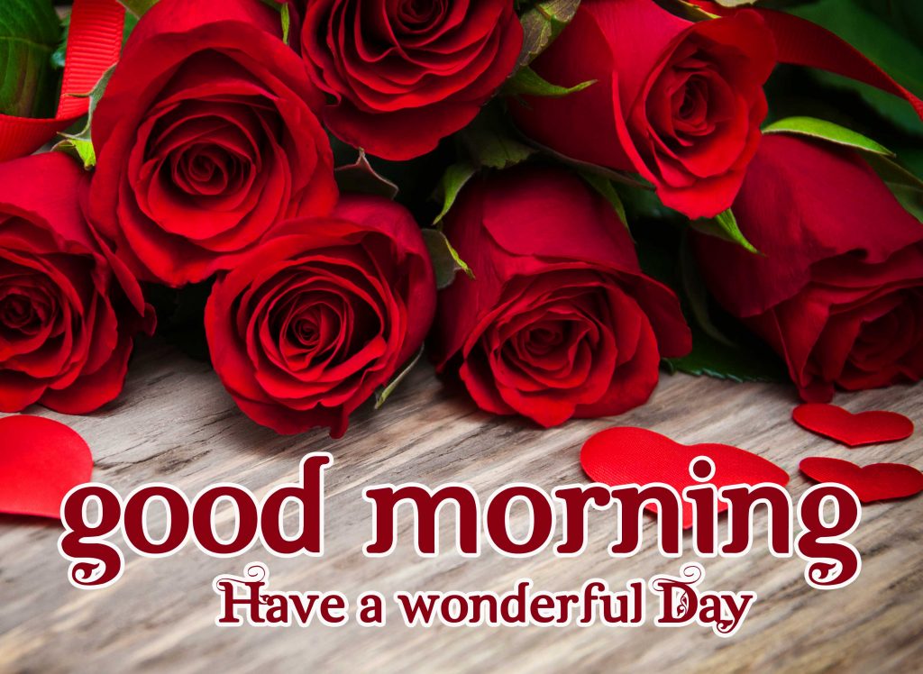 30+ Red Rose Good Morning Pics and Wallpapers 1080p 2021 (Latest ...