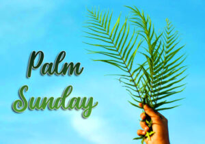 36+ Palm Sunday Images, Pictures and Wallpapers HD 1080p - Good Morning ...