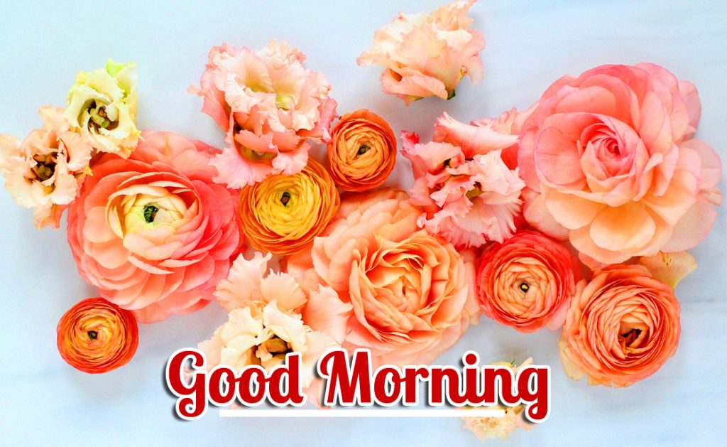 Floral-Good-Morning-Image