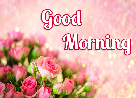Good-Morning-Flowers-Wallpaper-HD