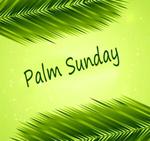 36+ Palm Sunday Images, Pictures and Wallpapers HD 1080p - Good Morning ...