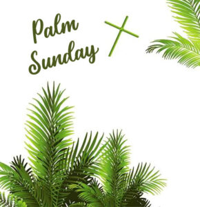 36+ Palm Sunday Images, Pictures and Wallpapers HD 1080p - Good Morning ...