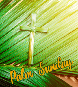 36+ Palm Sunday Images, Pictures and Wallpapers HD 1080p - Good Morning ...