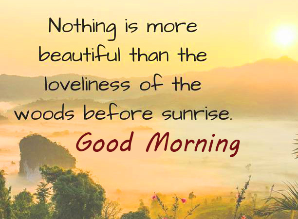 Beautiful-Good-Morning-Quote-Picture