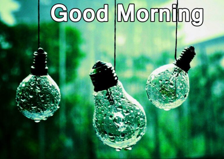 40+ Good Morning Nature Rain | Good Morning and Rainy Day Photos | Good ...