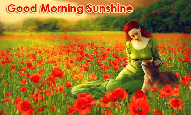 Beautiful Lady with Good Morning Sunshine Wish