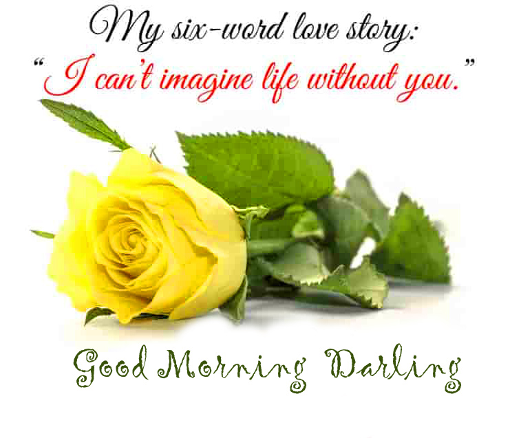 Beautiful-Rose-Good-Morning-Darling-Image