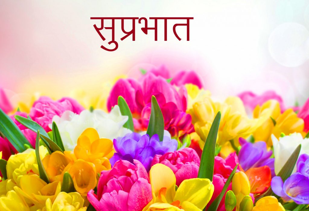 Beautiful-and-Colorful-Flowers-HD-Suprabhat-Image