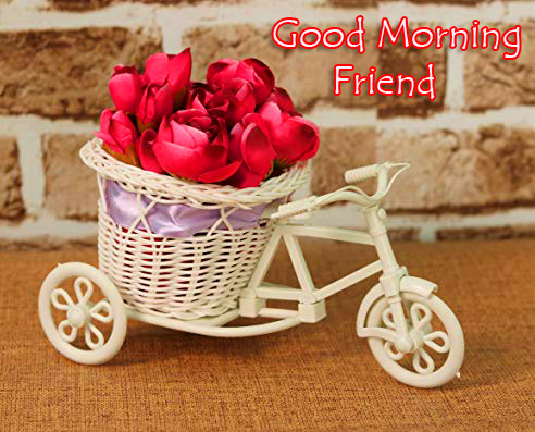 Best-Flowers-Cycle-Good-Morning-Friend-Image