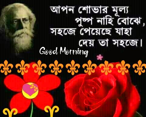 Best and Great Bangla Good Morning Quote Image