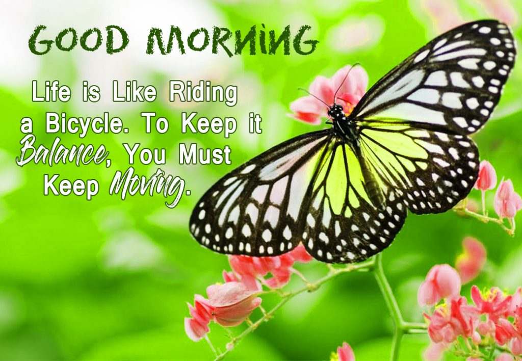 Butterfly on Flowers with Good Morning Message