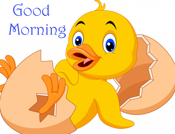 Cartoon Chick Good Morning Picture