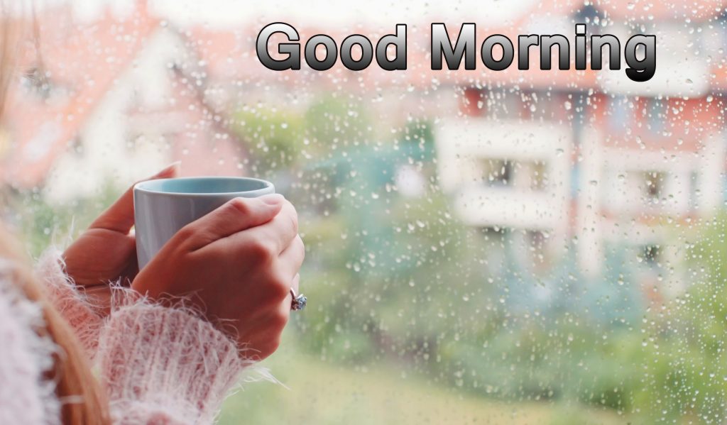 40+ Good Morning Nature Rain | Good Morning and Rainy Day Photos | Good ...