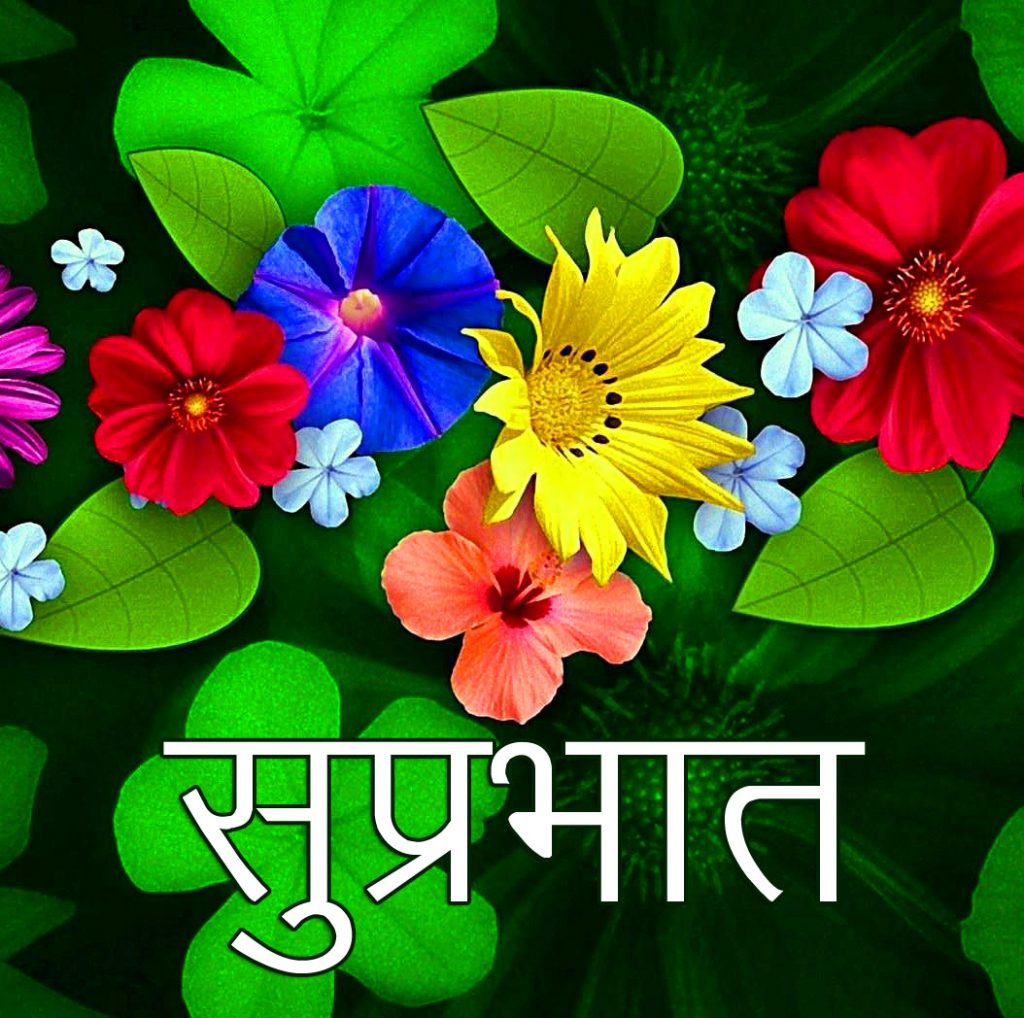 Colorful-Flowers-HD-Suprabhat-Wallpaper