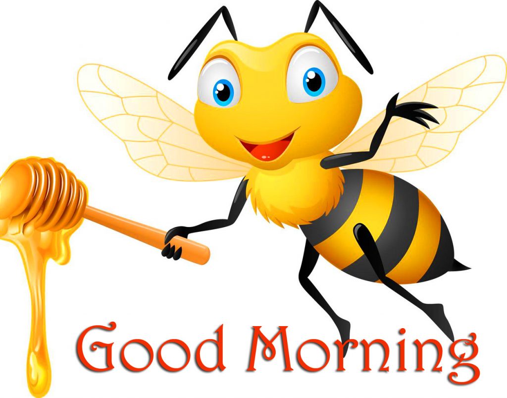 Cute Bee Good Morning Cartoon Photo