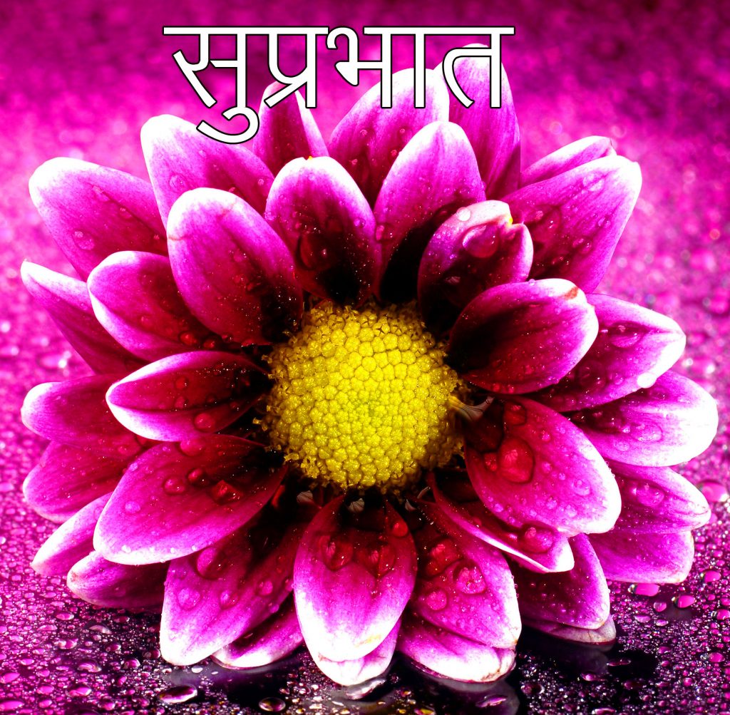 Flower-with-Dew-Drops-and-Suprabhat-Wish