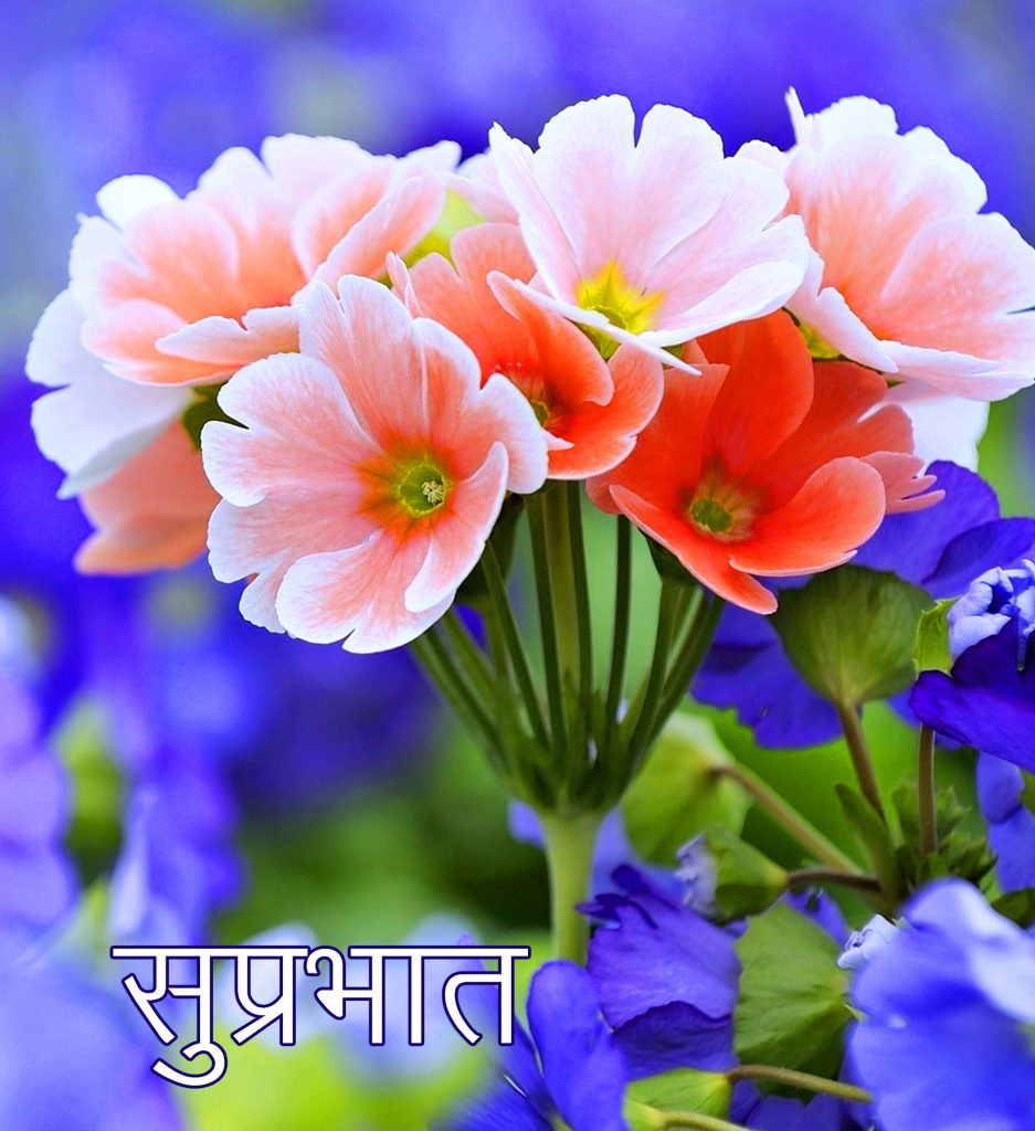 Flowers-Bunch-with-Suprabhat-Wish