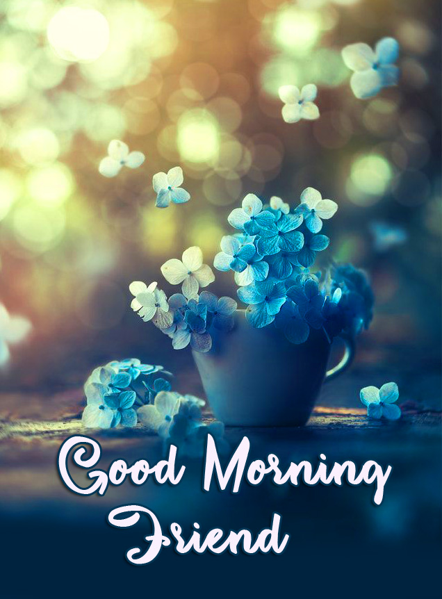 Flowers-Cup-and-Shower-Good-Morning-Friend-Wallpaper