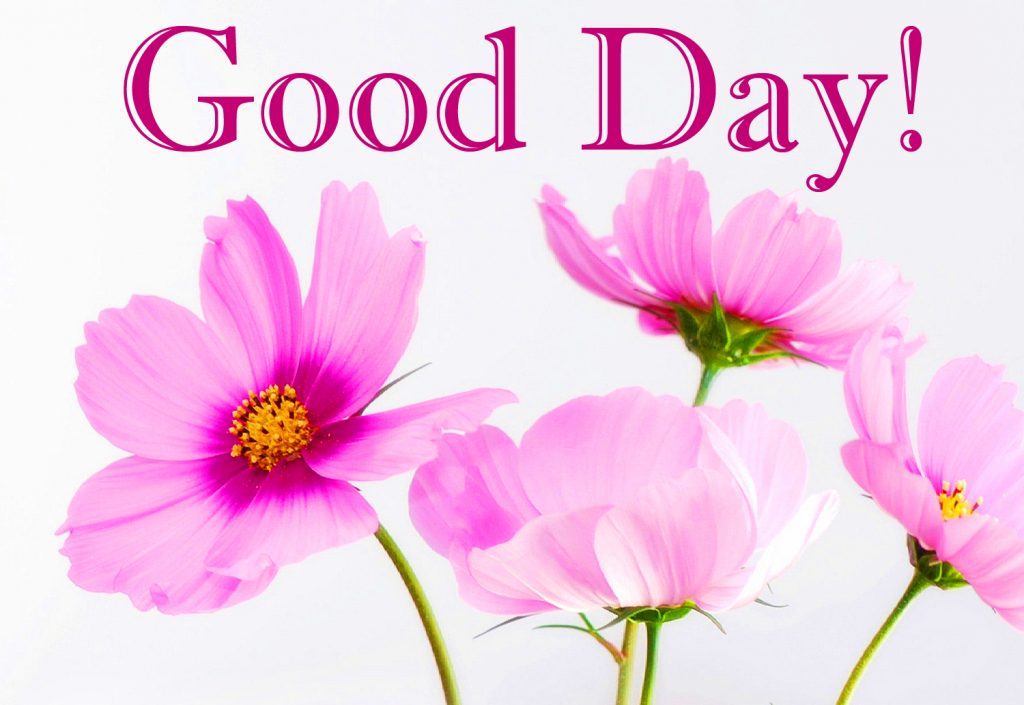 Flowers-Good-Day-Image