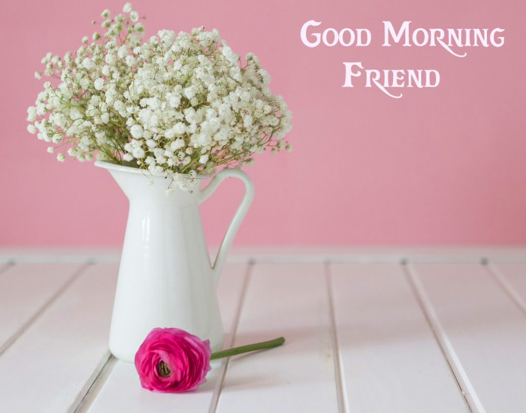 Flowers-Pot-with-Good-Morning-Friend-Wish