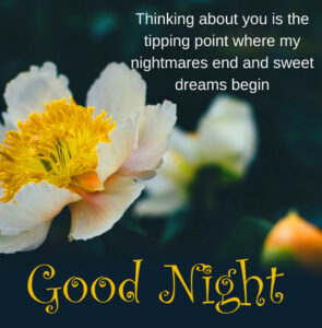 12+ Good Night Messages | A Good Night Sayings | Good Night Quotes for ...