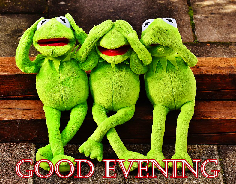 Funny-Frogs-Good-Evening-Picture