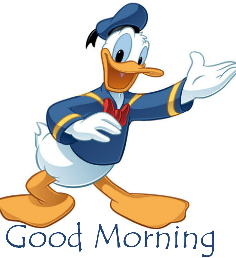 Good Morning Donald Duck Cute Cartoon Picture