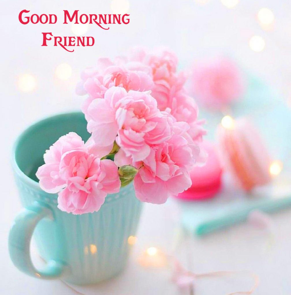 Good-Morning-Friend-Flowers-Pot-Picture