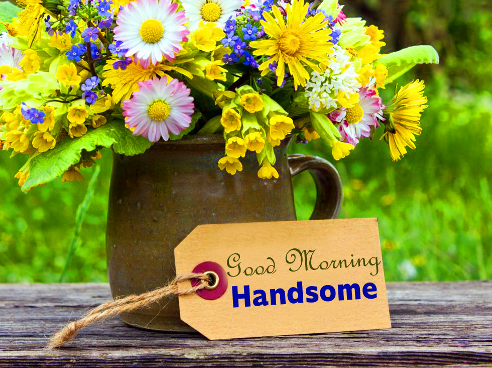 Good Morning Handsome Flower Message Image