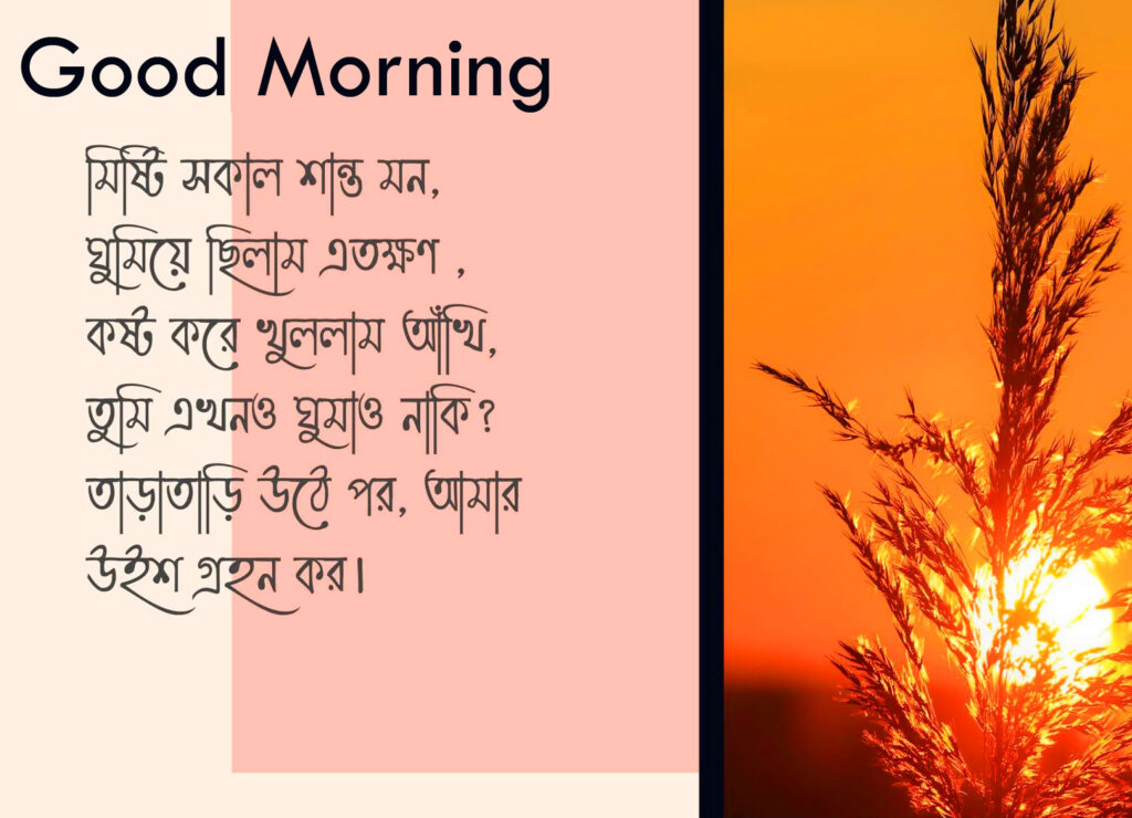 Good Morning Image in Bangla