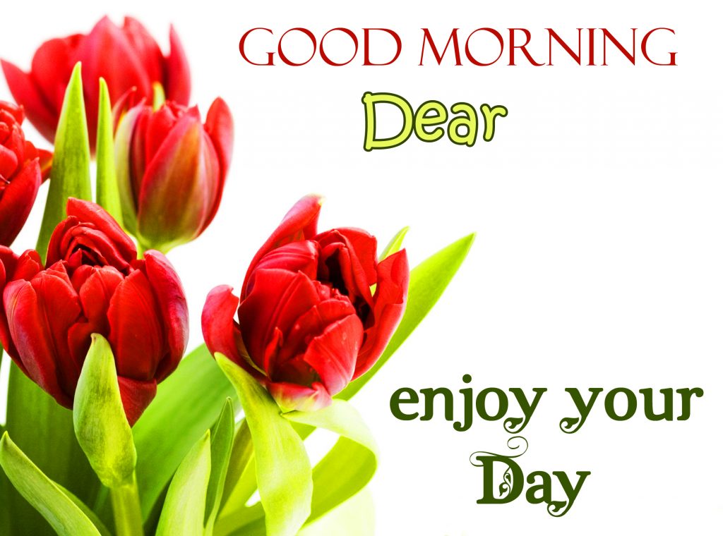 Good Morning Enjoy Your Day Message Flowers Image