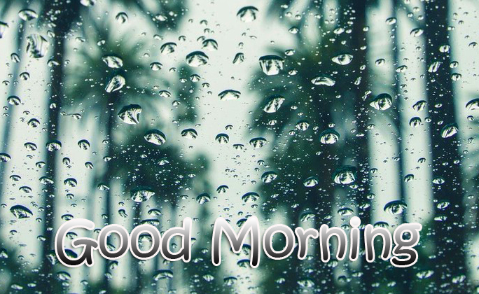 40+ Good Morning Nature Rain | Good Morning and Rainy Day Photos | Good ...