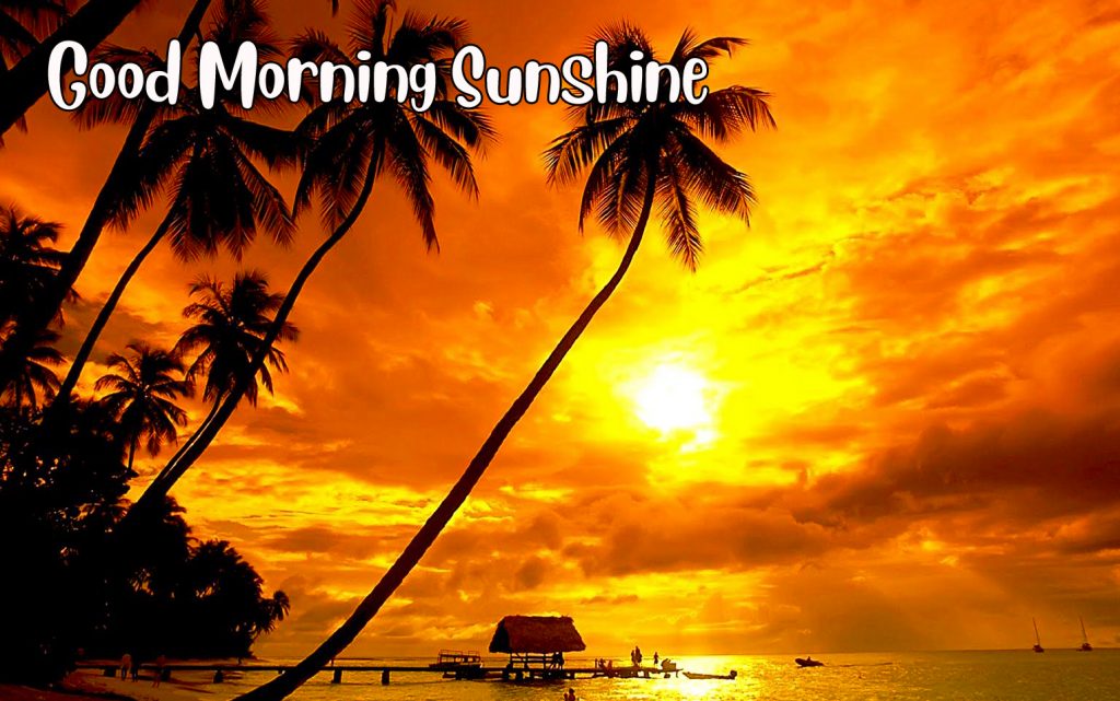 Good Morning Sunshine Beach Sunrise Image