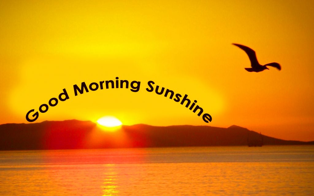 Good Morning Sunshine Wish with Beautiful Wallpaper