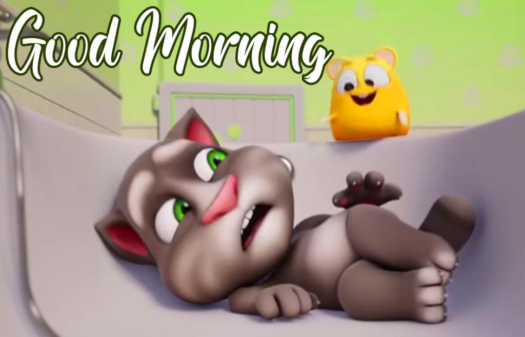 Good Morning Tom Cartoon Pic