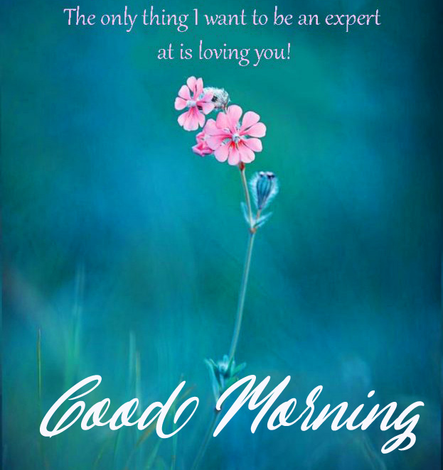 {36+} Romantic Good Morning Wishes for Her - Good Morning Images HD