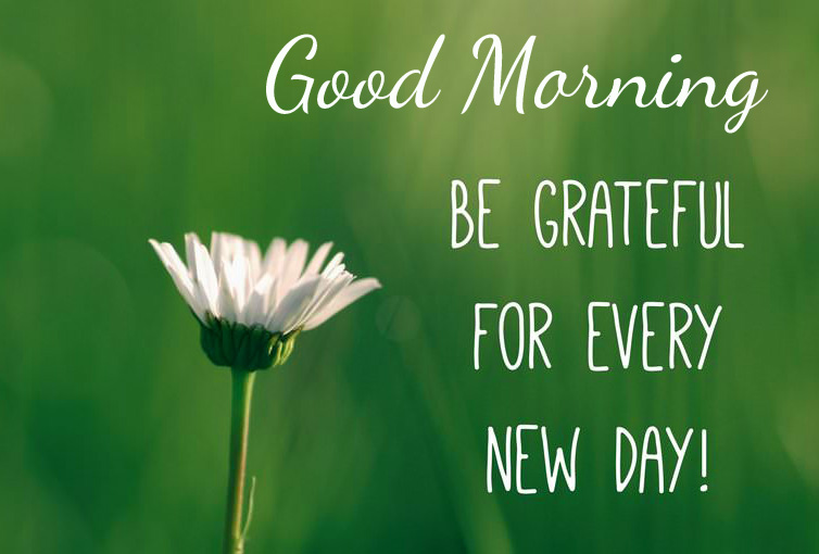 Grateful-Quote-Good-Morning-Picture-HD