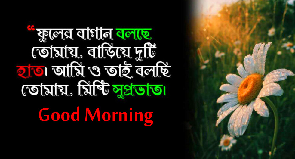 HD Bangla Shayari with Good Morning Wish