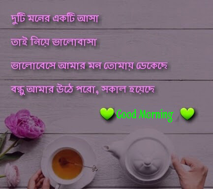 HD Beautiful Bengali Quote Good Morning Photo