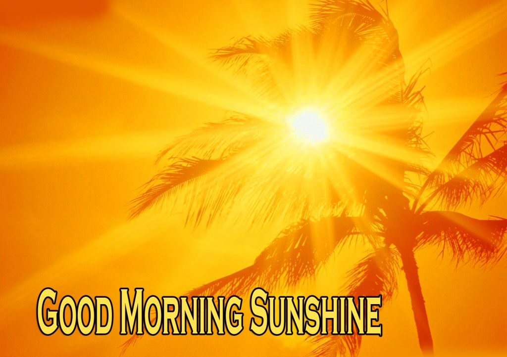 HD Sunrays Good Morning Sunshine Picture