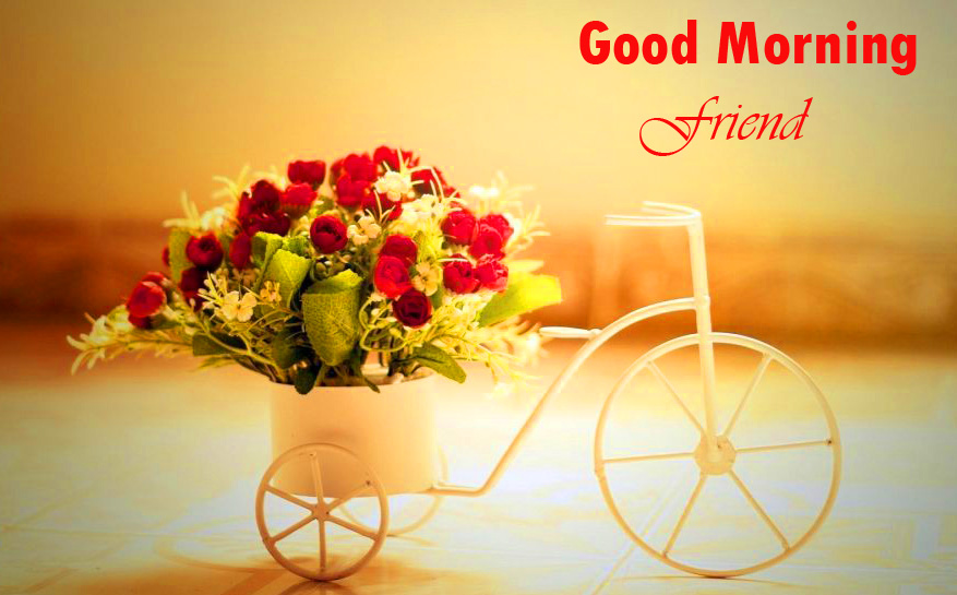 Latest-Flowers-Cycle-Good-Morning-Friend-Image
