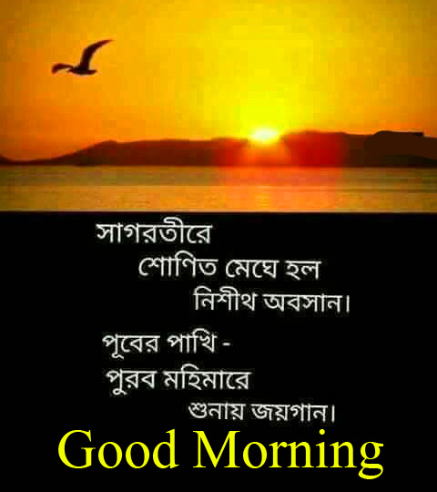 Latest Sunrise Bangla Good Morning Quote Wallpaper
