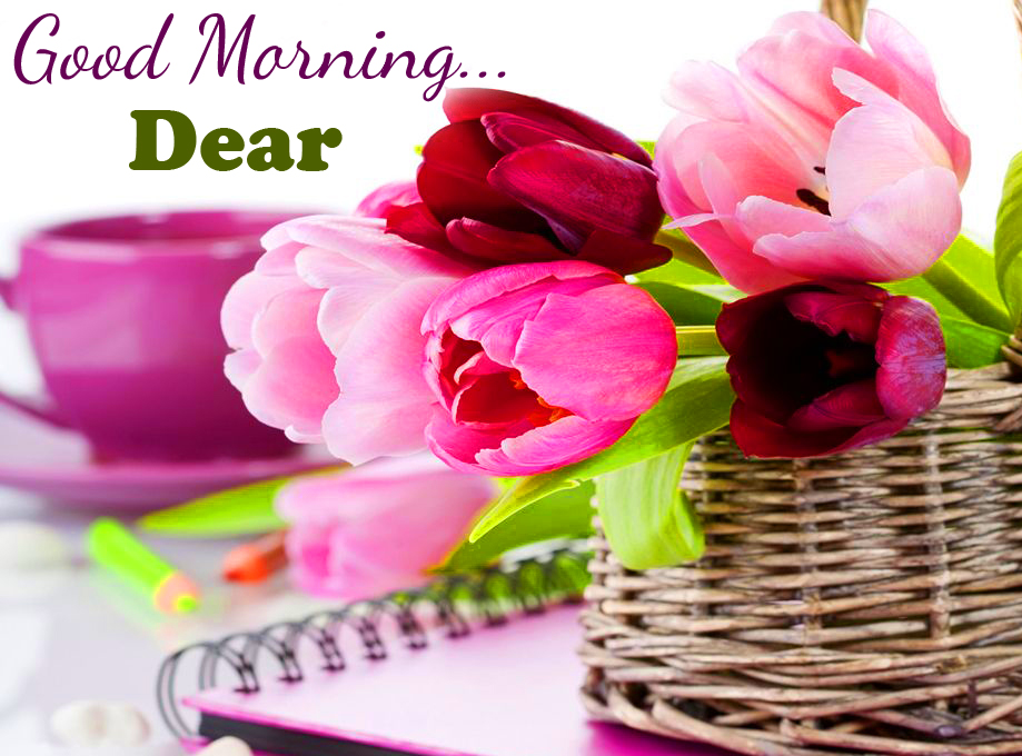 Lovely Good Morning Dear Message Image