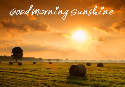 Lovely HD Good Morning Sunshine Image HD