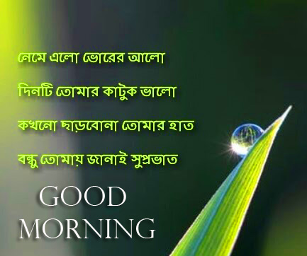 Nature Bengali Quote Good Morning Image HD