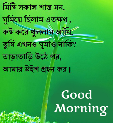 Nature Love Bengali Quote HD Good Morning Image