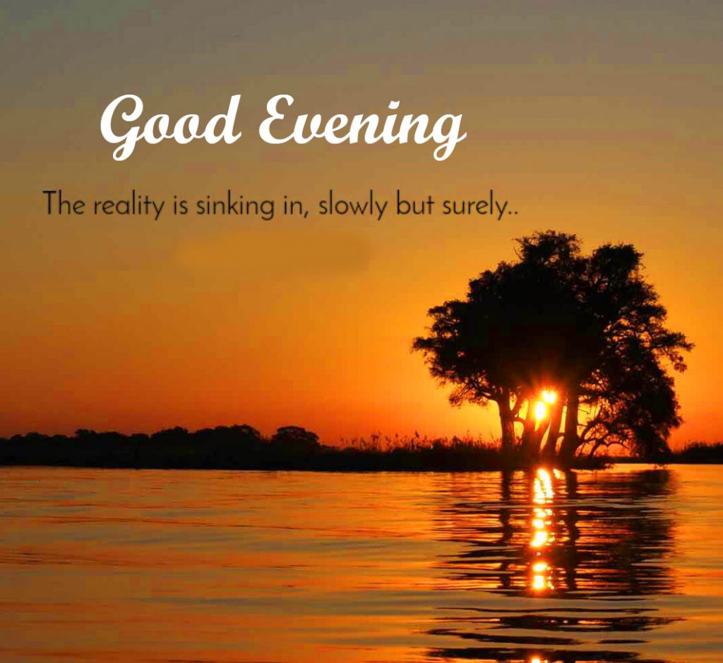 Reality-Quote-Good-Evening-Picture